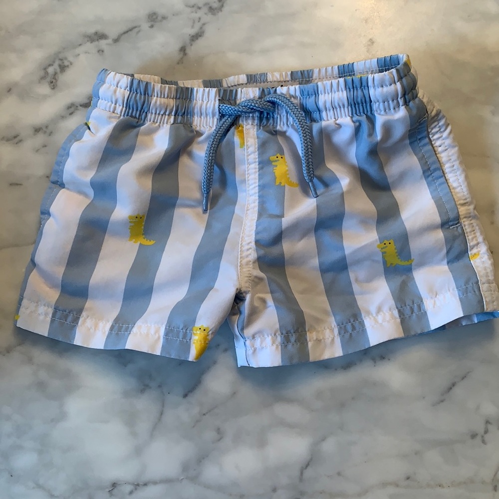 dinosaur and stripe swim trunks